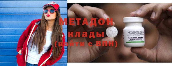 прущие грибы Алексеевка