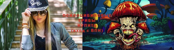 соль ск Алексин